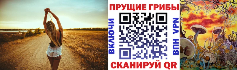blacksprut ССЫЛКА  Нягань  Галлюциногенные грибы ЛСД 