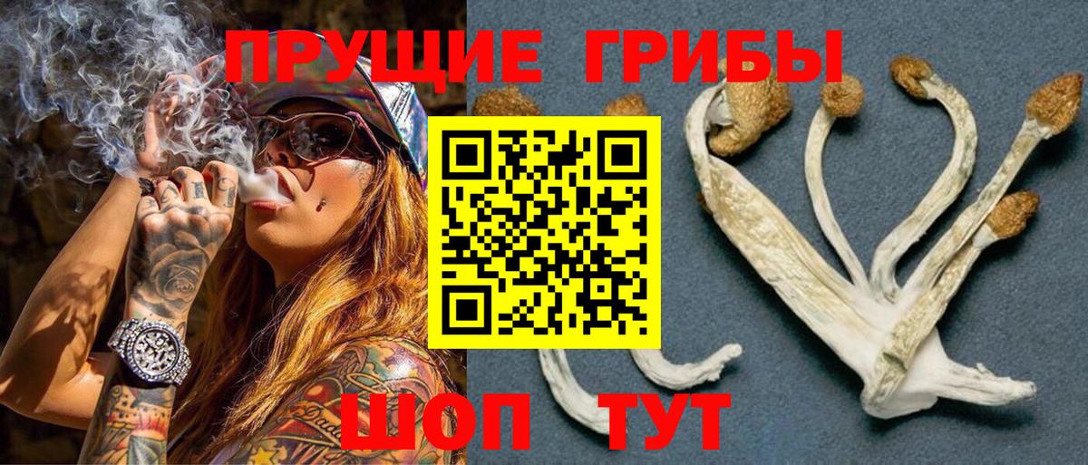 Псилоцибиновые грибы прущие грибы  Вход с VPN  Нягань 