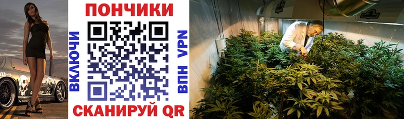 Каннабис ГИДРОПОН  KRAKEN ссылка  Нягань 
