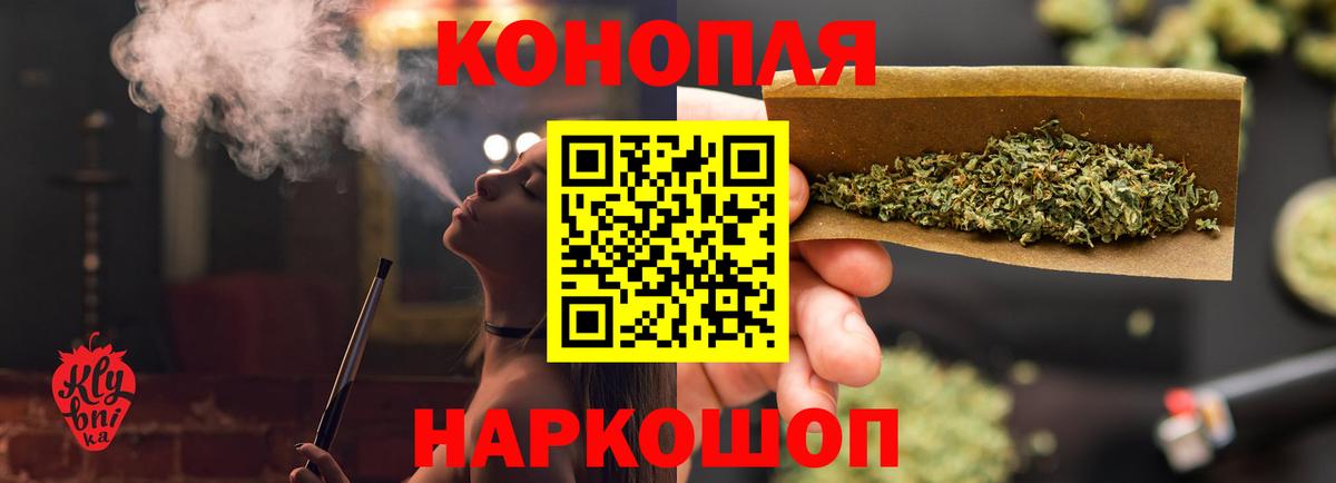 Бошки Шишки план Нягань